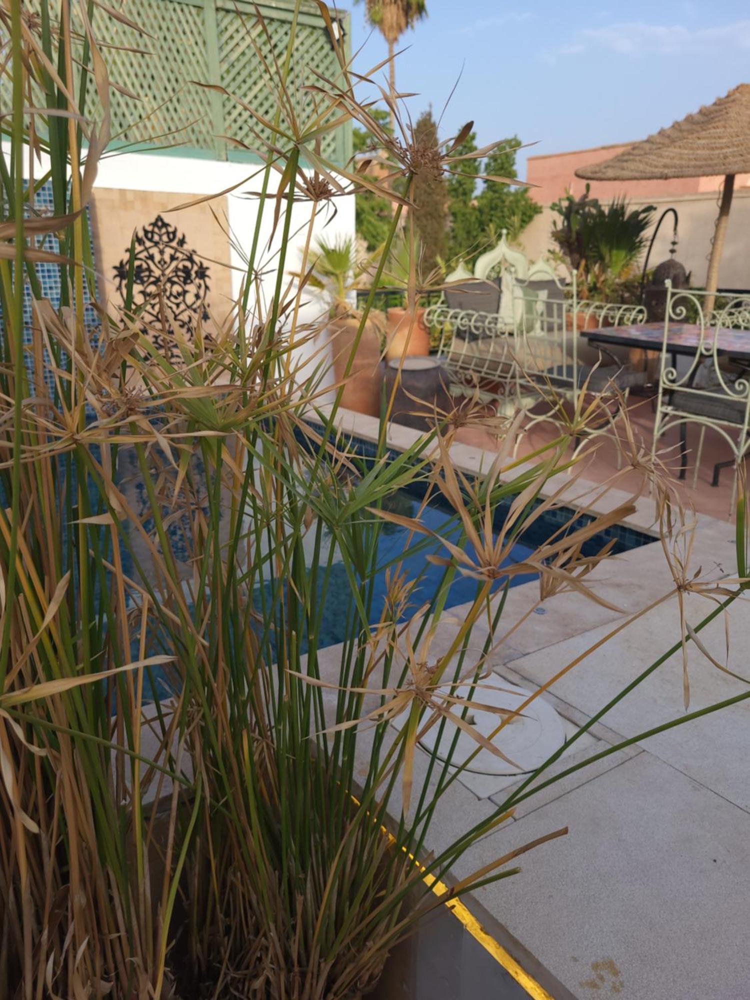 Swaka Riad Marrakesh